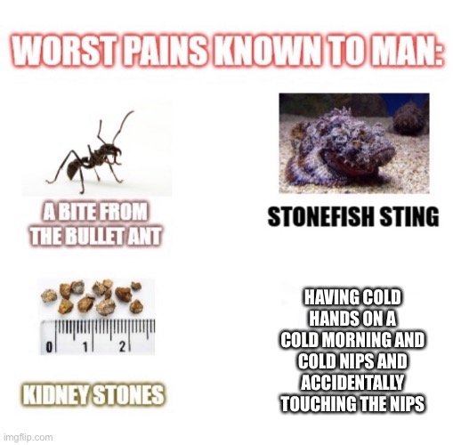 most painful things known to man | HAVING COLD HANDS ON A COLD MORNING AND COLD NIPS AND ACCIDENTALLY TOUCHING THE NIPS | image tagged in most painful things known to man | made w/ Imgflip meme maker