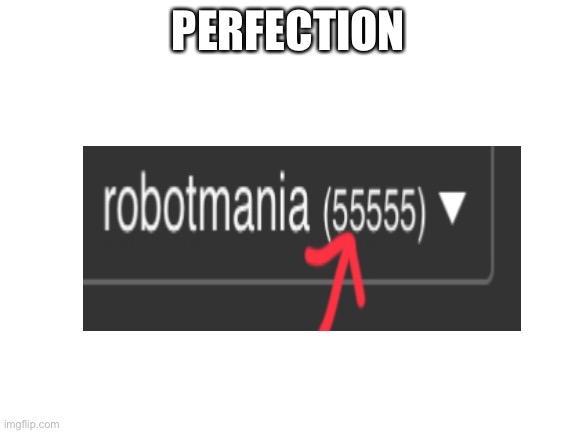 Perfection | PERFECTION | image tagged in blank white template,55555 | made w/ Imgflip meme maker