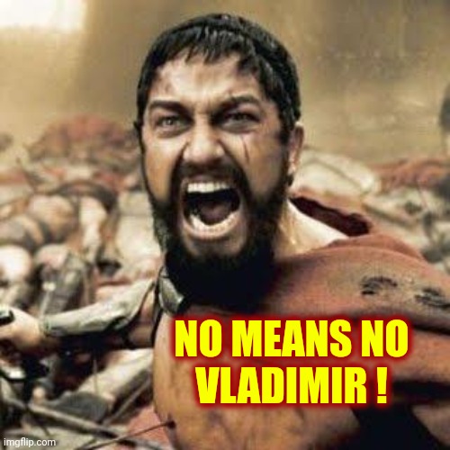 No Means No | NO MEANS NO
 VLADIMIR ! | image tagged in this is sparta,asshole,putin,dictator,evil,memes | made w/ Imgflip meme maker