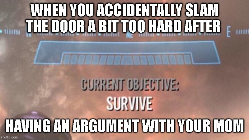 you can't even survive that | WHEN YOU ACCIDENTALLY SLAM THE DOOR A BIT TOO HARD AFTER; HAVING AN ARGUMENT WITH YOUR MOM | image tagged in current objective survive | made w/ Imgflip meme maker
