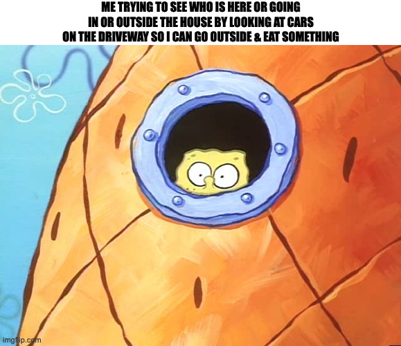 Spongebob Peek Window | ME TRYING TO SEE WHO IS HERE OR GOING
IN OR OUTSIDE THE HOUSE BY LOOKING AT CARS
ON THE DRIVEWAY SO I CAN GO OUTSIDE & EAT SOMETHING | image tagged in spongebob peek window,relatable,memes,meme,funny,fun | made w/ Imgflip meme maker