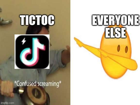 EVERYONE ELSE TICTOC | made w/ Imgflip meme maker