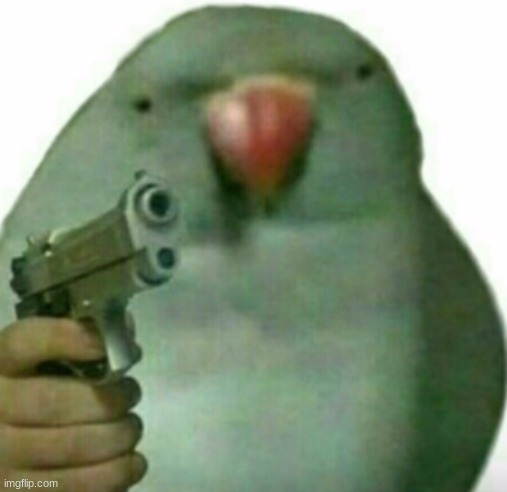 me when | image tagged in birb with gun | made w/ Imgflip meme maker