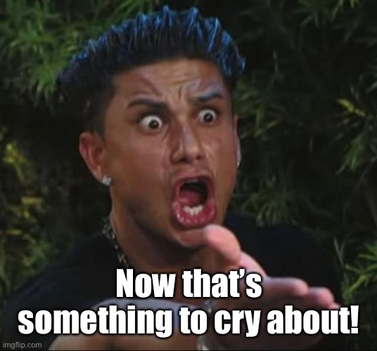 DJ Pauly D Meme | Now that’s something to cry about! | image tagged in memes,dj pauly d | made w/ Imgflip meme maker