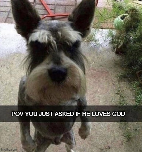 adsf | POV YOU JUST ASKED IF HE LOVES GOD | image tagged in j | made w/ Imgflip meme maker