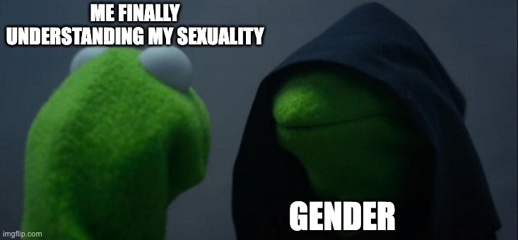 ew gender | ME FINALLY UNDERSTANDING MY SEXUALITY; GENDER | image tagged in memes,evil kermit | made w/ Imgflip meme maker