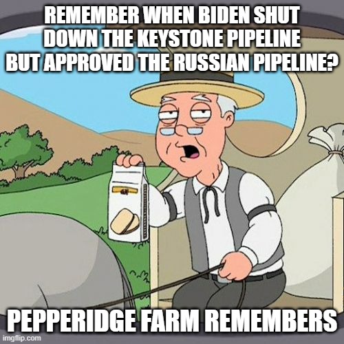 Remember the pipelines? | REMEMBER WHEN BIDEN SHUT DOWN THE KEYSTONE PIPELINE BUT APPROVED THE RUSSIAN PIPELINE? PEPPERIDGE FARM REMEMBERS | image tagged in memes,pepperidge farm remembers,ukraine,joe biden,pipeline | made w/ Imgflip meme maker