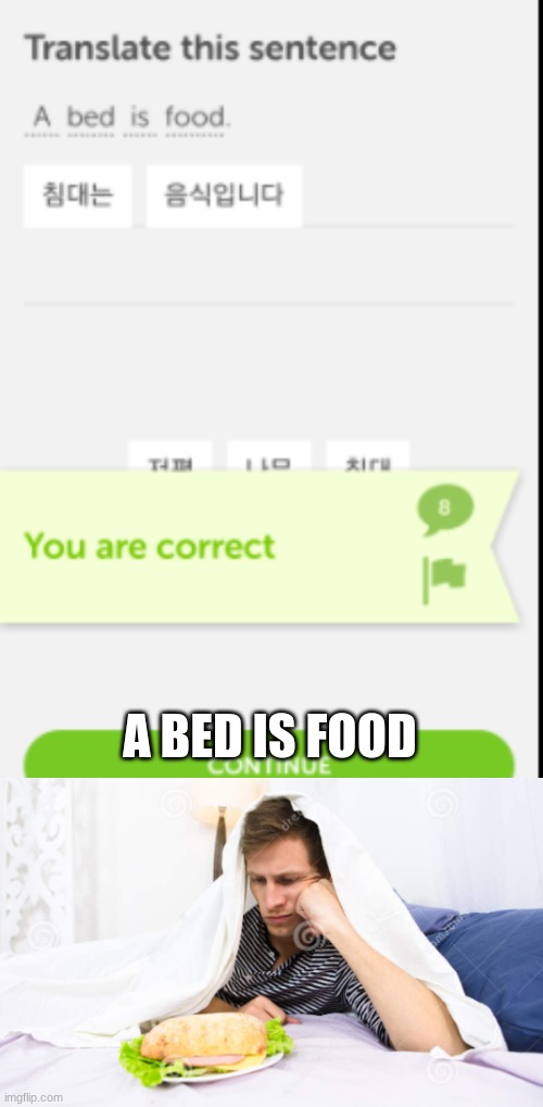 couldnt find a good stock photo :( | A BED IS FOOD | image tagged in memes,duolingo,wait what | made w/ Imgflip meme maker