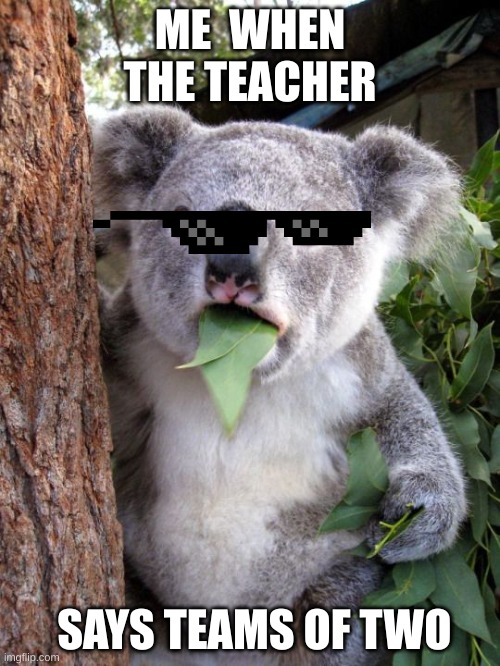 teams of two | ME  WHEN THE TEACHER; SAYS TEAMS OF TWO | image tagged in shocked koala | made w/ Imgflip meme maker