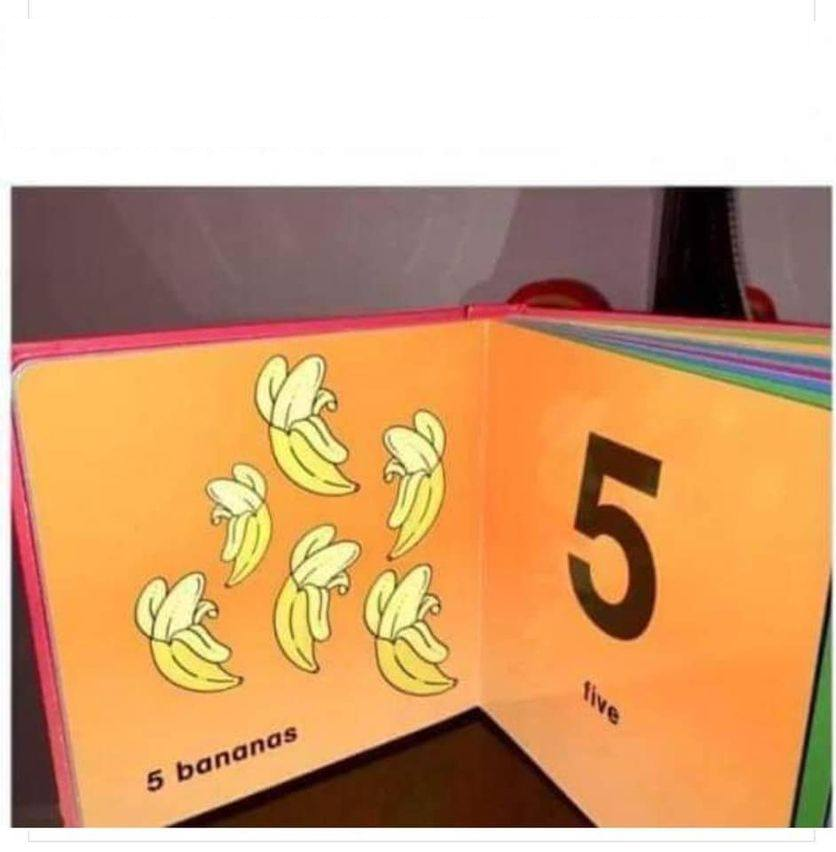 Bananas book 5 Blank Meme Template