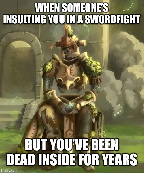 WHEN SOMEONE’S INSULTING YOU IN A SWORDFIGHT; BUT YOU’VE BEEN DEAD INSIDE FOR YEARS | image tagged in dead inside | made w/ Imgflip meme maker