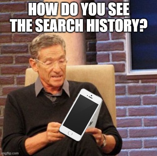 oh no | HOW DO YOU SEE THE SEARCH HISTORY? | image tagged in memes,maury lie detector | made w/ Imgflip meme maker