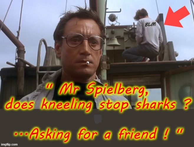 " Excuse me Mr. Spielberg ! " | image tagged in straight white shark | made w/ Imgflip meme maker