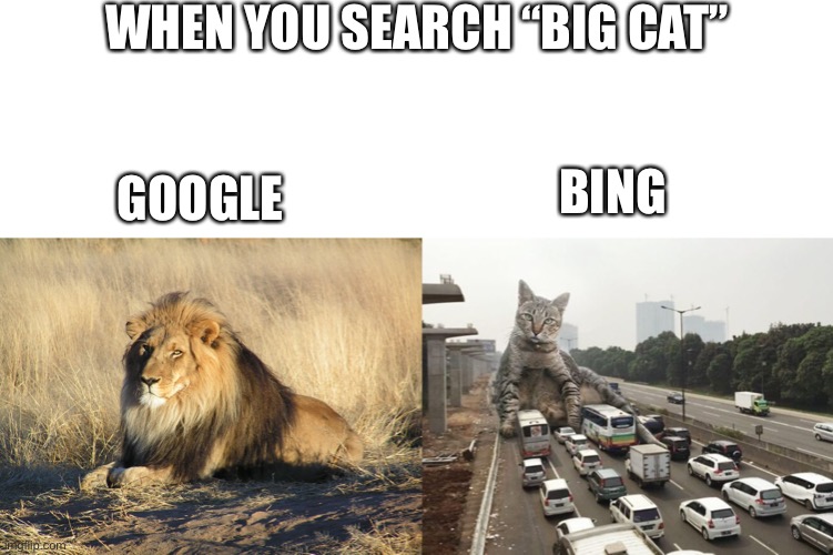 WHEN YOU SEARCH “BIG CAT”; BING; GOOGLE | image tagged in lion,cat | made w/ Imgflip meme maker