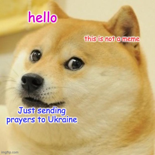 ?? | hello; this is not a meme; Just sending prayers to Ukraine | image tagged in doge | made w/ Imgflip meme maker