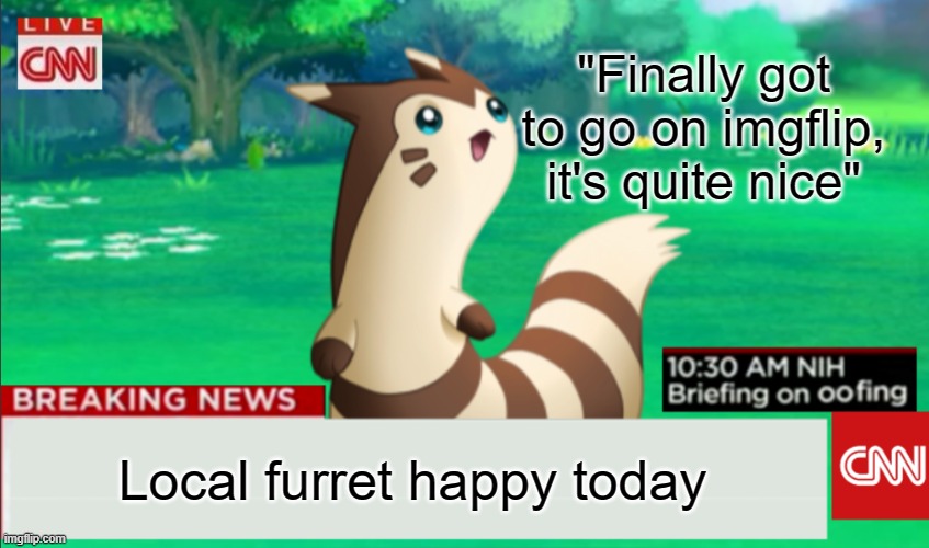 Breaking News Furret | "Finally got to go on imgflip, it's quite nice"; Local furret happy today | image tagged in breaking news furret,memes,furret,happy,imgflip,meme | made w/ Imgflip meme maker