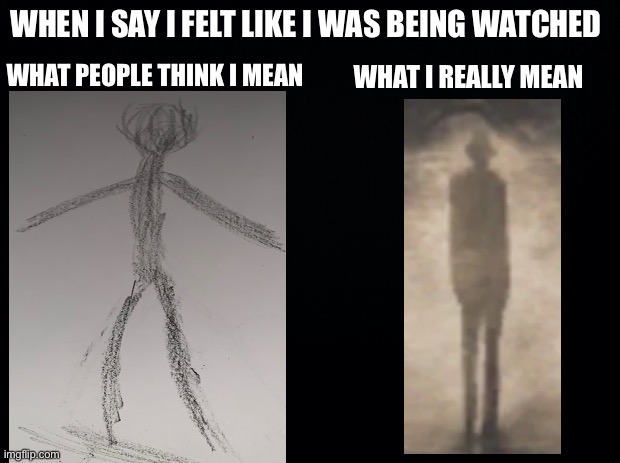 Black background | WHEN I SAY I FELT LIKE I WAS BEING WATCHED; WHAT PEOPLE THINK I MEAN; WHAT I REALLY MEAN | image tagged in black background | made w/ Imgflip meme maker