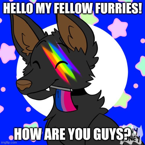 Hey guys! | HELLO MY FELLOW FURRIES! HOW ARE YOU GUYS? | image tagged in furry,wholesome | made w/ Imgflip meme maker