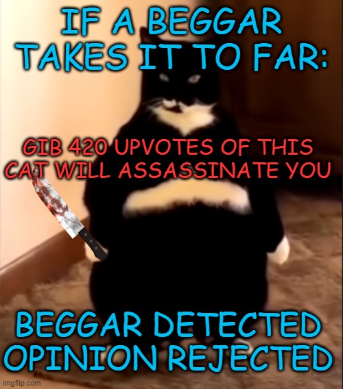 2nd time begging >:3 | IF A BEGGAR TAKES IT TO FAR:; GIB 420 UPVOTES OF THIS CAT WILL ASSASSINATE YOU; BEGGAR DETECTED OPINION REJECTED | image tagged in nenja,memes,funny,not funny,upvote begging,msmg | made w/ Imgflip meme maker