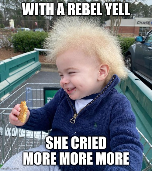 "Uncombable hair disease" reminds me of Billy Idol |  WITH A REBEL YELL; SHE CRIED MORE MORE MORE | image tagged in memes,toddler,billy idol | made w/ Imgflip meme maker