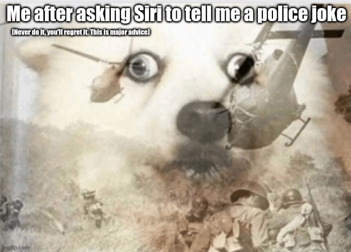 HELP | Me after asking Siri to tell me a police joke; (Never do it, you'll regret it. This is major advice) | image tagged in ptsd dog | made w/ Imgflip meme maker