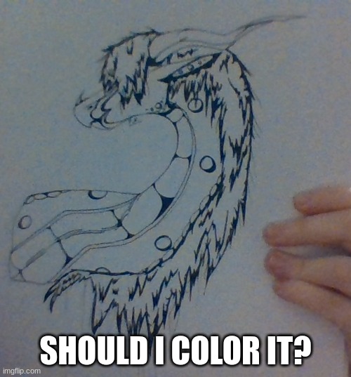 SHOULD I COLOR IT? | made w/ Imgflip meme maker