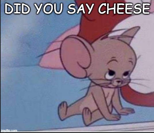 jerry cute | DID YOU SAY CHEESE | image tagged in jerry cute | made w/ Imgflip meme maker
