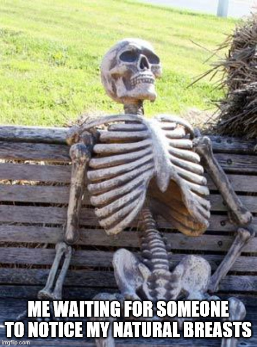 Waiting Skeleton Meme | ME WAITING FOR SOMEONE TO NOTICE MY NATURAL BREASTS | image tagged in memes,waiting skeleton | made w/ Imgflip meme maker