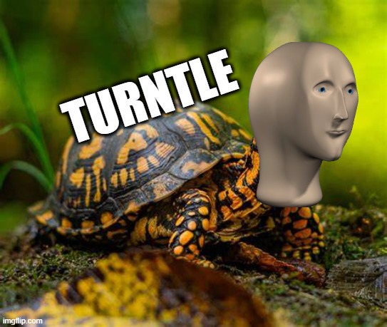 TURNTLE | made w/ Imgflip meme maker