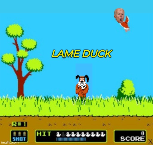 LAME DUCK | made w/ Imgflip meme maker