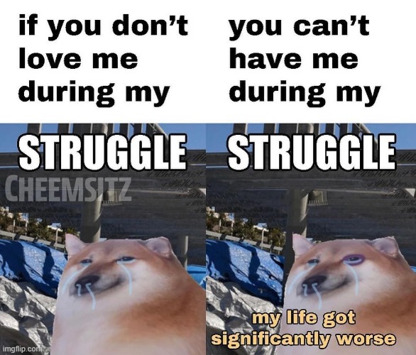 made w/ Imgflip meme maker