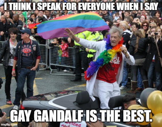 Yes, That is Ian McKellen xD | I THINK I SPEAK FOR EVERYONE WHEN I SAY; GAY GANDALF IS THE BEST. | image tagged in gay,memes,parade,moving hearts,gandalf,funny | made w/ Imgflip meme maker