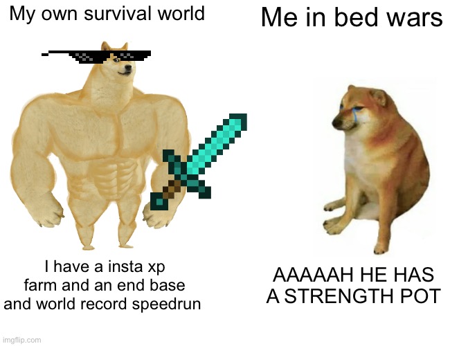 True in my mc | My own survival world; Me in bed wars; I have a insta xp farm and an end base and world record speedrun; AAAAAH HE HAS A STRENGTH POT | image tagged in memes,buff doge vs cheems | made w/ Imgflip meme maker