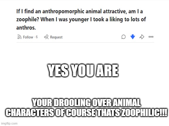 Stupid Quora question: | YES YOU ARE; YOUR DROOLING OVER ANIMAL CHARACTERS OF COURSE THATS ZOOPHILIC!!! | image tagged in blank white template,cringe | made w/ Imgflip meme maker