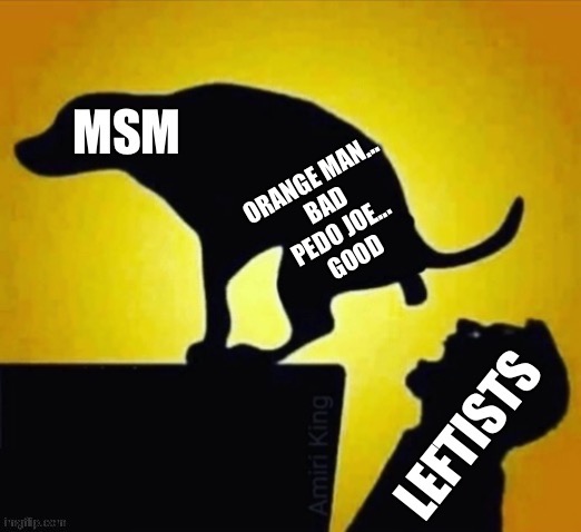 Just for you, Kiddo | ORANGE MAN...
BAD
PEDO JOE...
GOOD | image tagged in msm feeding the leftists | made w/ Imgflip meme maker