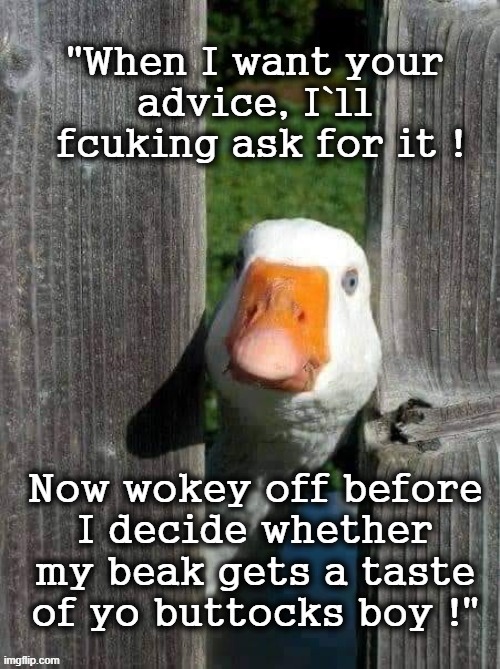 Wokey Off ! | image tagged in untitled goose peace was never an option | made w/ Imgflip meme maker