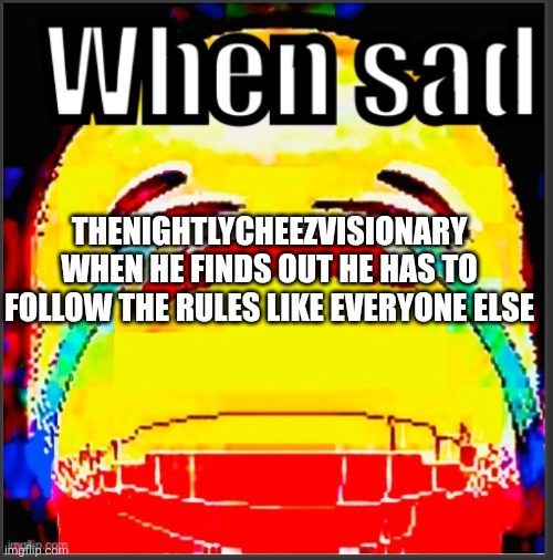 It's literally in the rules, and his meme broke the guideline | THENIGHTLYCHEEZVISIONARY WHEN HE FINDS OUT HE HAS TO FOLLOW THE RULES LIKE EVERYONE ELSE | image tagged in when sad | made w/ Imgflip meme maker