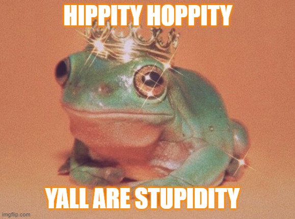 hippity hoppity |  HIPPITY HOPPITY; YALL ARE STUPIDITY | image tagged in frog,hippity hoppity | made w/ Imgflip meme maker
