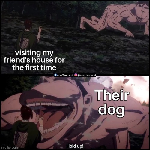 image tagged in anime | made w/ Imgflip meme maker