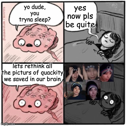 like really tho, theres alot | yes now pls be quite; yo dude, you tryna sleep? lets rethink all the picturs of quackity we saved in our brain | image tagged in brain before sleep,dream smp,quackity,dream | made w/ Imgflip meme maker
