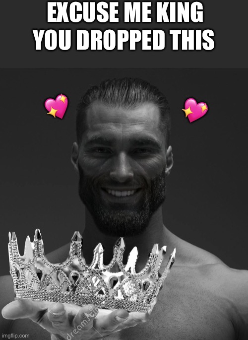 You dropped it homie | EXCUSE ME KING; YOU DROPPED THIS; 💖; 💖 | image tagged in gigachad hands you crown,wholesome | made w/ Imgflip meme maker