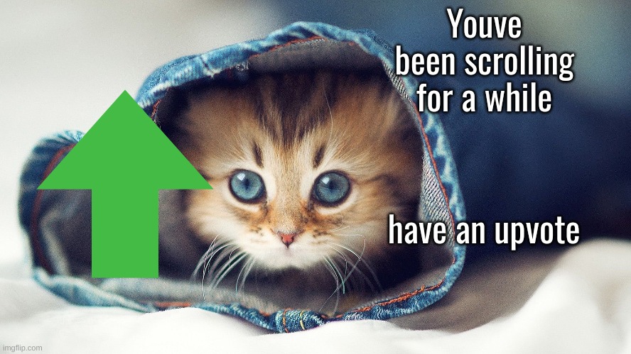 Cute kitty | Youve been scrolling for a while; have an upvote | image tagged in memes,fun,gifs,cats | made w/ Imgflip meme maker