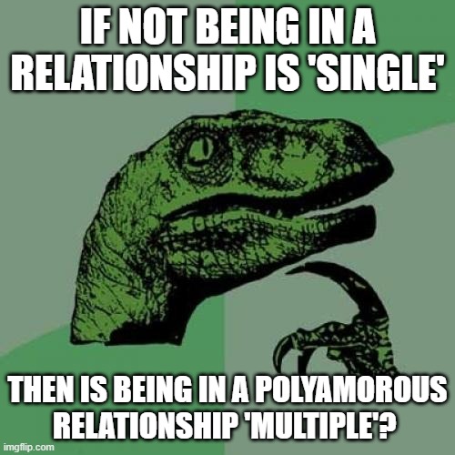 Multiple Meanings | IF NOT BEING IN A RELATIONSHIP IS 'SINGLE'; THEN IS BEING IN A POLYAMOROUS RELATIONSHIP 'MULTIPLE'? | image tagged in memes,philosoraptor,philosophy,polygamy,relationships,questions | made w/ Imgflip meme maker