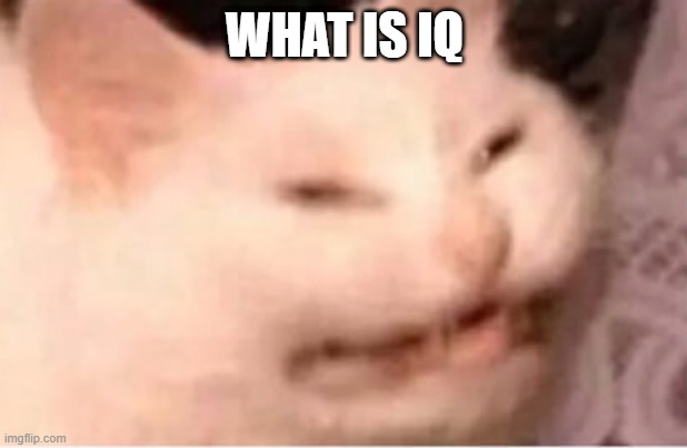 e w | WHAT IS IQ | image tagged in e w | made w/ Imgflip meme maker