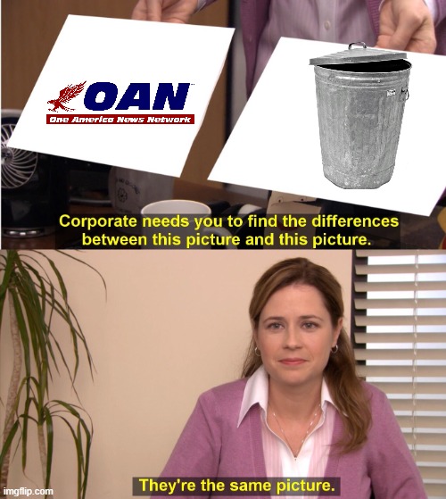 One America News is garbage | image tagged in memes,they're the same picture,true | made w/ Imgflip meme maker