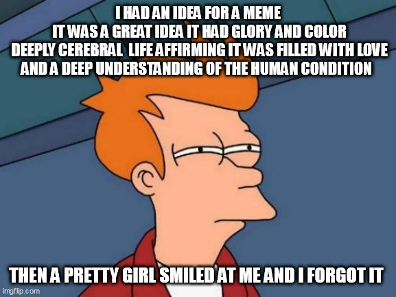Futurama Fry Meme | I HAD AN IDEA FOR A MEME
 IT WAS A GREAT IDEA IT HAD GLORY AND COLOR
 DEEPLY CEREBRAL  LIFE AFFIRMING IT WAS FILLED WITH LOVE AND A DEEP UNDERSTANDING OF THE HUMAN CONDITION; THEN A PRETTY GIRL SMILED AT ME AND I FORGOT IT | image tagged in memes,futurama fry | made w/ Imgflip meme maker