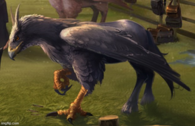 Hippogriff | image tagged in hippogriff,memes,textless memes | made w/ Imgflip meme maker