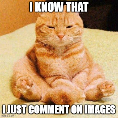 chonky cat | I KNOW THAT I JUST COMMENT ON IMAGES | image tagged in chonky cat | made w/ Imgflip meme maker