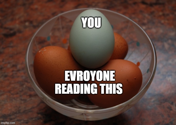 Blue egg among brown eggs | YOU; EVROYONE READING THIS | image tagged in blue egg among brown eggs,memes | made w/ Imgflip meme maker