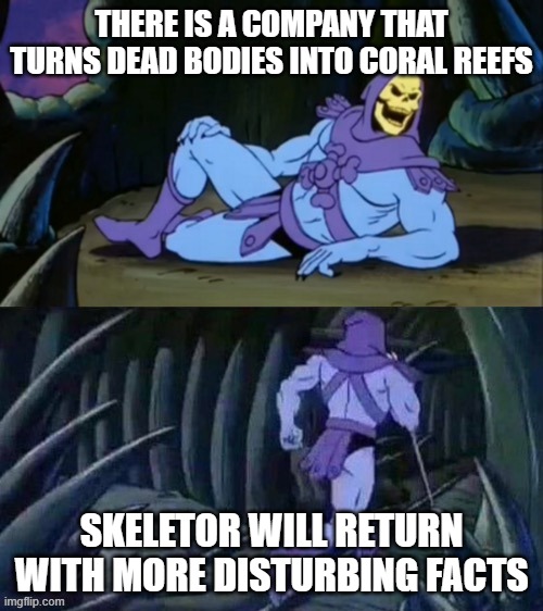 lmao | THERE IS A COMPANY THAT TURNS DEAD BODIES INTO CORAL REEFS; SKELETOR WILL RETURN WITH MORE DISTURBING FACTS | image tagged in skeletor disturbing facts | made w/ Imgflip meme maker